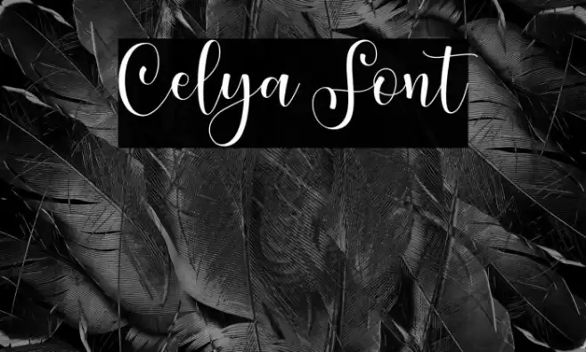 Celya Font examples