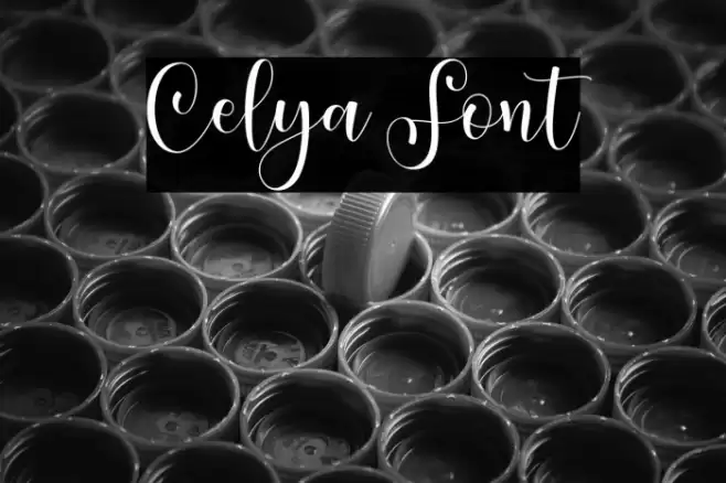 Celya Font examples