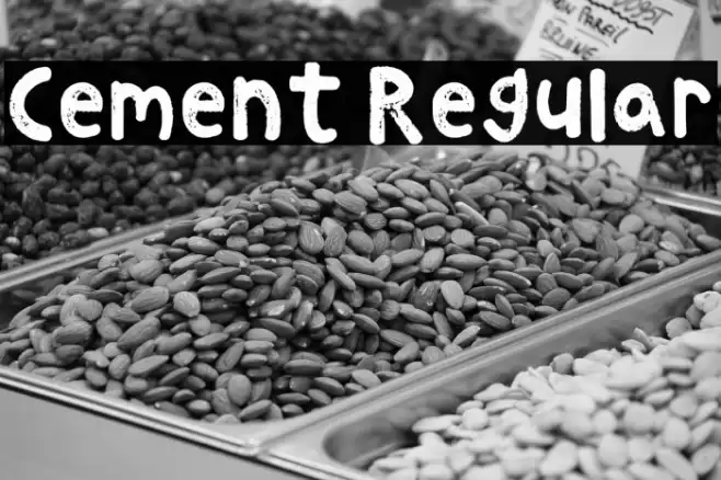 Cement Regular Font examples