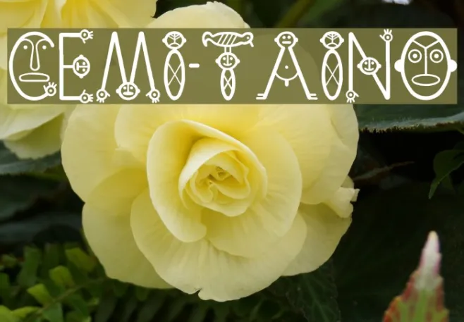 Cemi-Taino Example 2