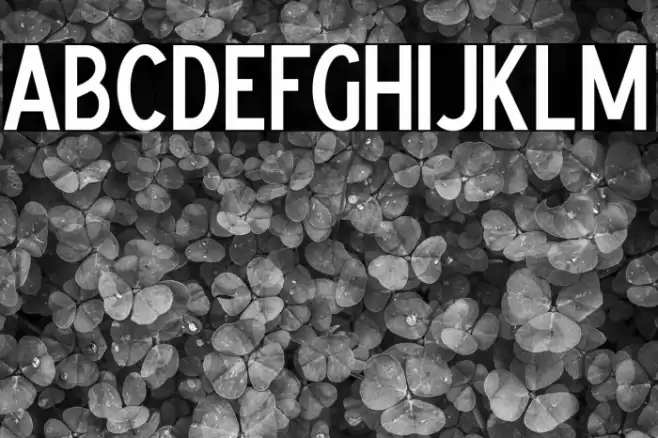 Cemoro Font examples