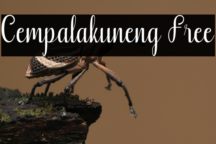 Cempalakuneng Free Example 3