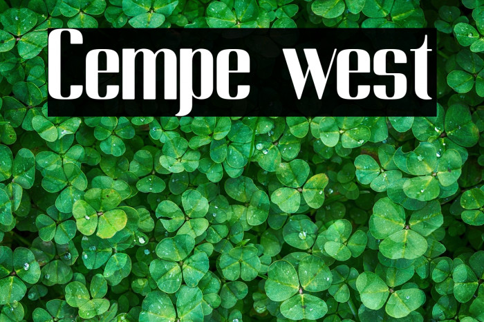 Cempe west Example 1
