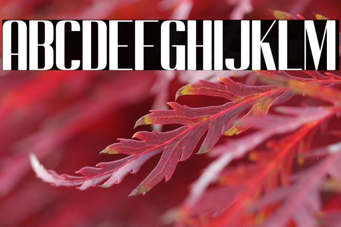 Cempe west Example 2