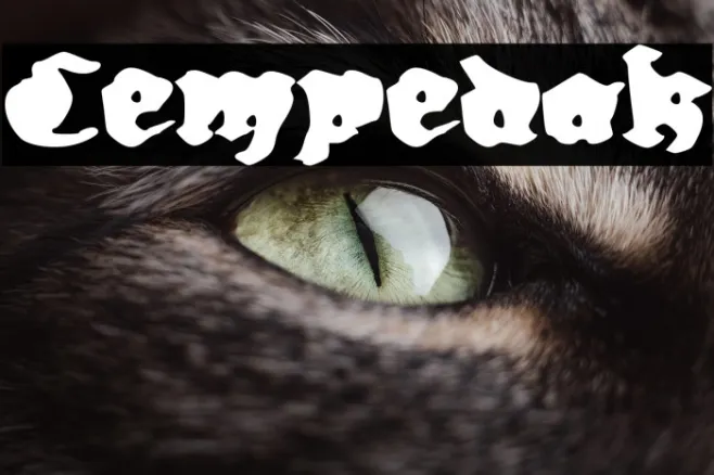 Cempedak Example 1
