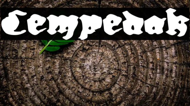 Cempedak Example 3