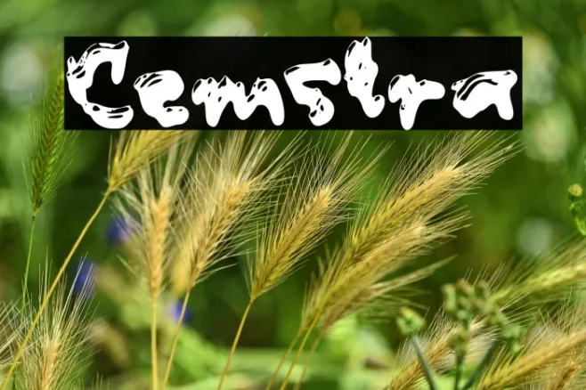 Cemstra Example 3