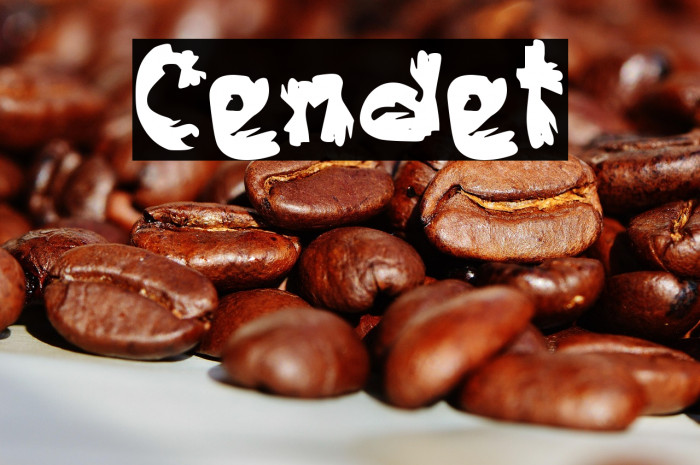 Cendet Example 1