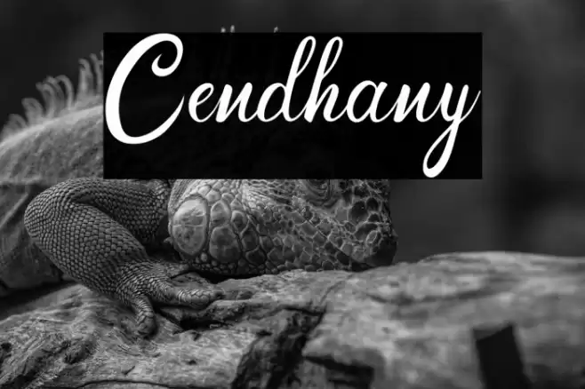 Cendhany Font examples