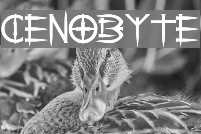 Cenobyte Font examples