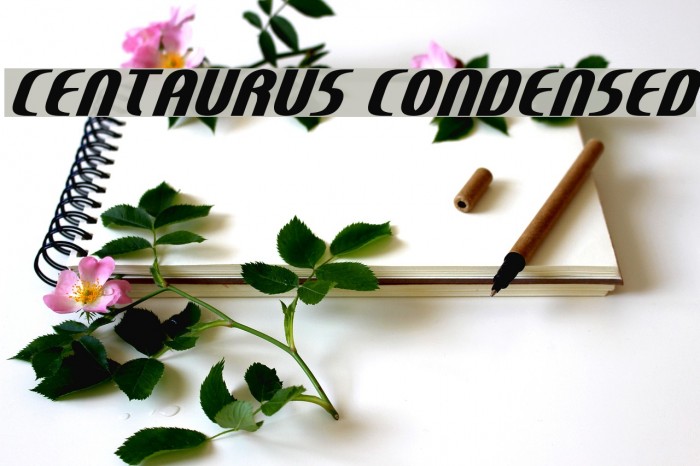 Centaurus Condensed Example 1