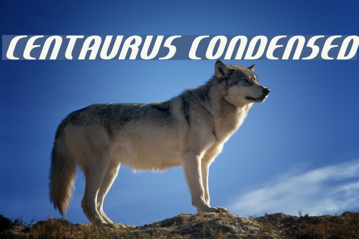 Centaurus Condensed Example 2