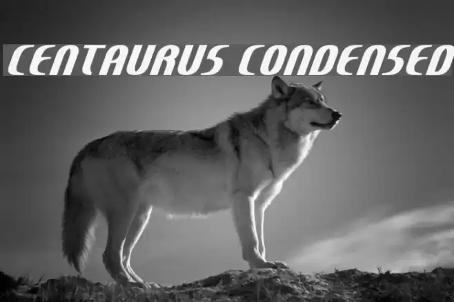 Centaurus Condensed Font examples