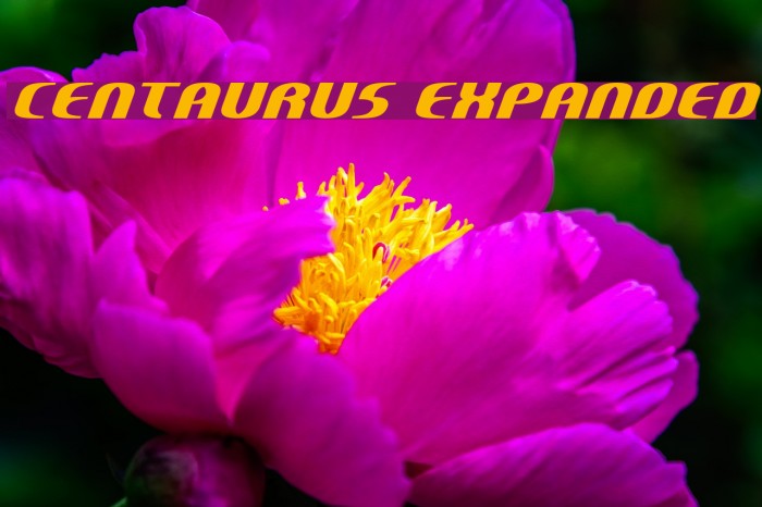 Centaurus Expanded Font examples