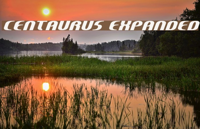 Centaurus Expanded Font examples
