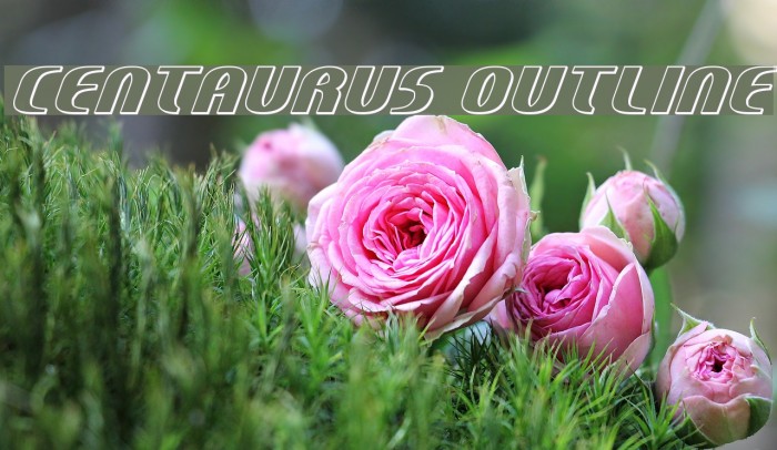 Centaurus Outline Example 1