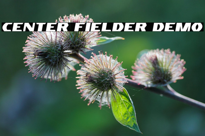 Center Fielder Demo Example 1