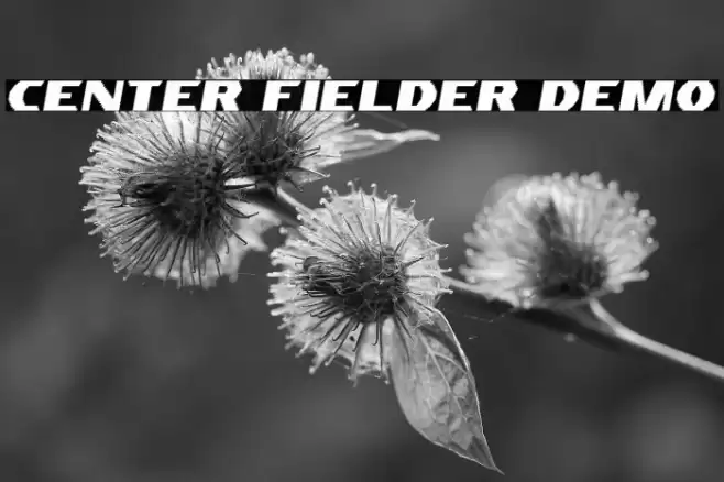 Center Fielder Demo Fuentes examples