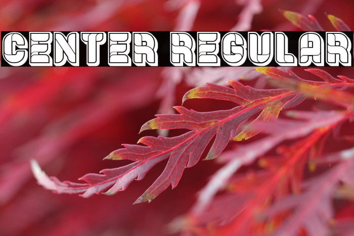 Center Regular Example 2