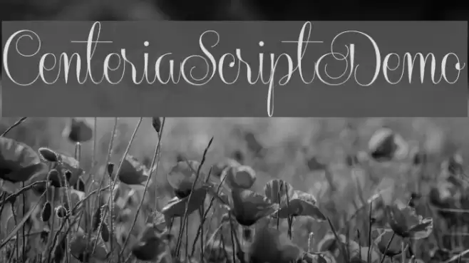 CenteriaScriptDemo Font examples