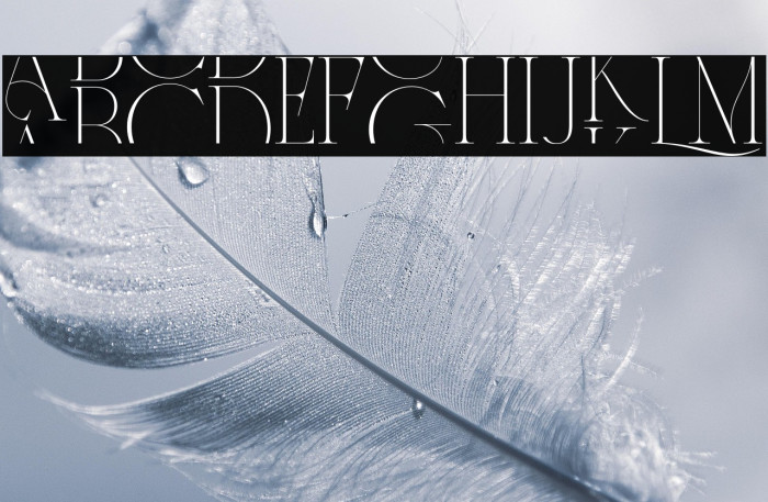 CentersGeorge-Regular Example 1