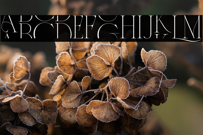 CentersGeorge-Regular Example 2