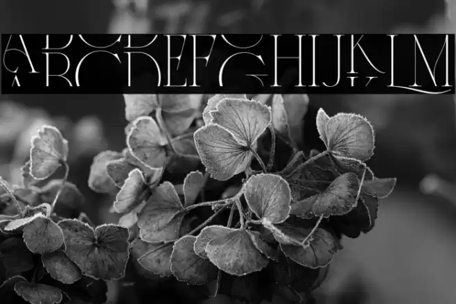 CentersGeorge-Regular Font examples