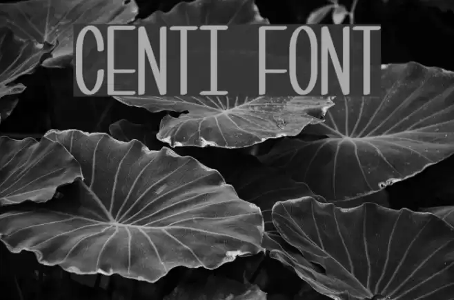 Centi Font examples