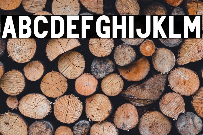 Centie Sans Example 1