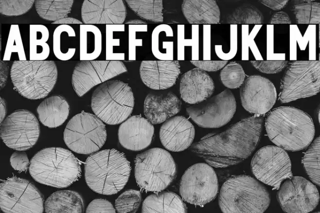 Centie Sans Font examples