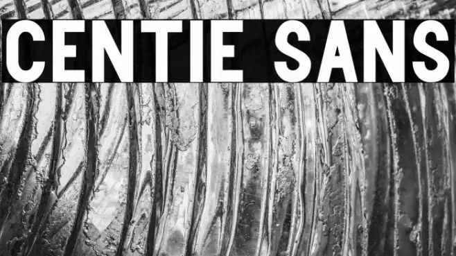 Centie Sans Font examples