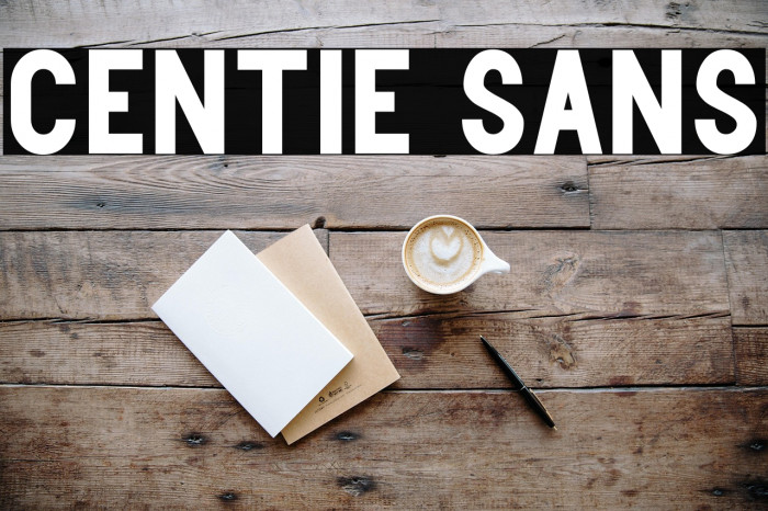 Centie Sans Example 2