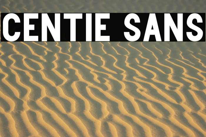 Centie Sans Example 3