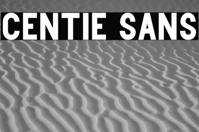 Centie Sans Font examples