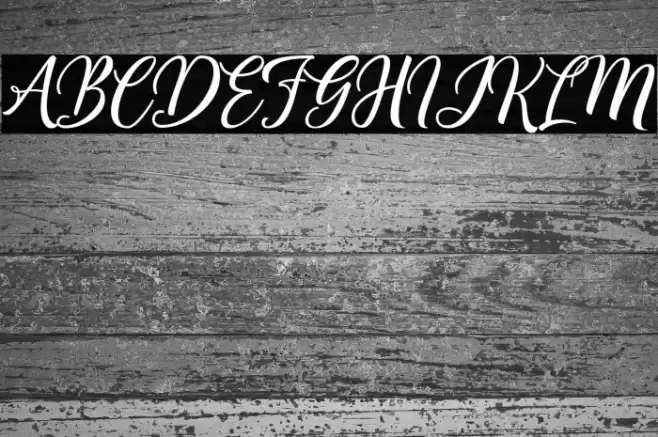 Centie Script Personal Use Font examples