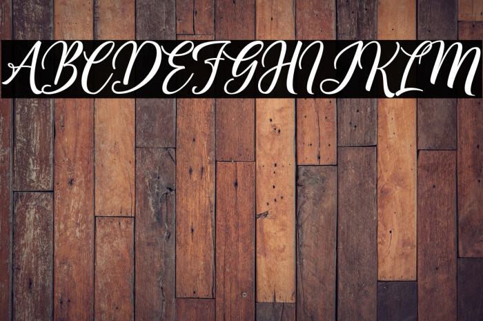 Centie Script Personal Use Example 2