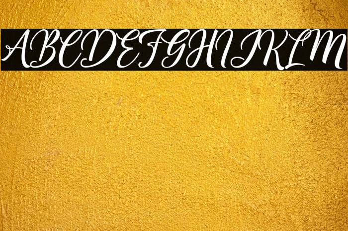 Centie Script Personal Use Example 3