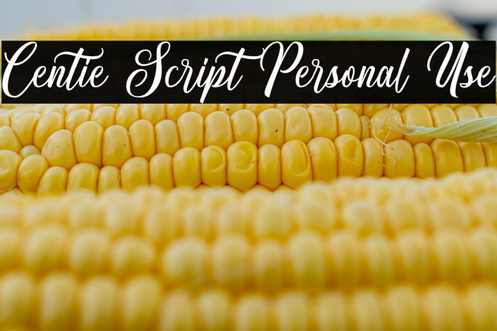 Centie Script Personal Use Example 2