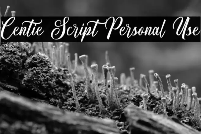 Centie Script Personal Use Font examples