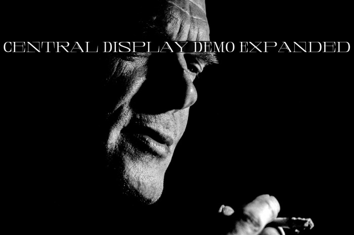 Central Display DEMO Expanded Example 1