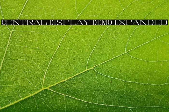 Central Display DEMO Expanded Example 2