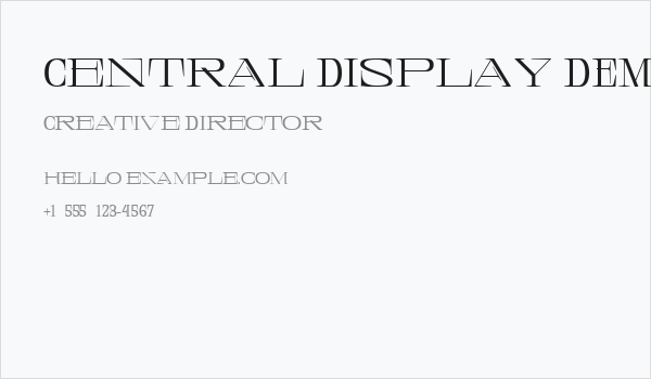 Central Display DEMO Expanded Business Card