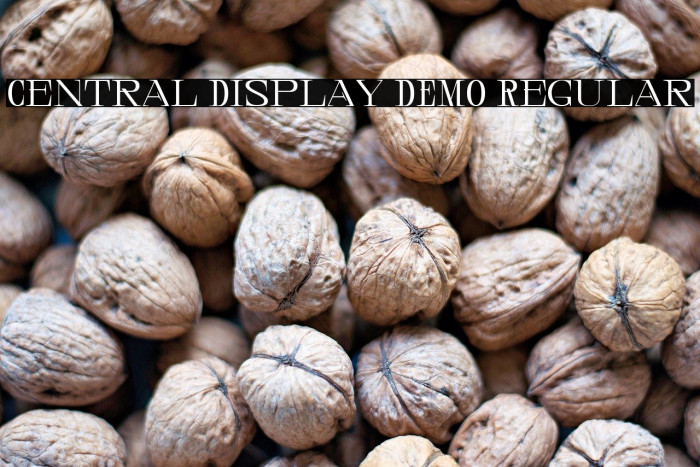 Central Display DEMO Regular Example 1