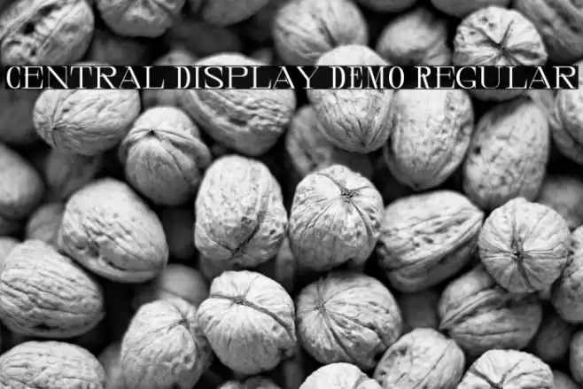Central Display DEMO Regular Font examples