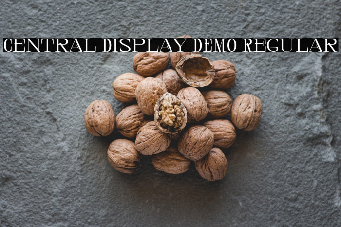 Central Display DEMO Regular Example 2