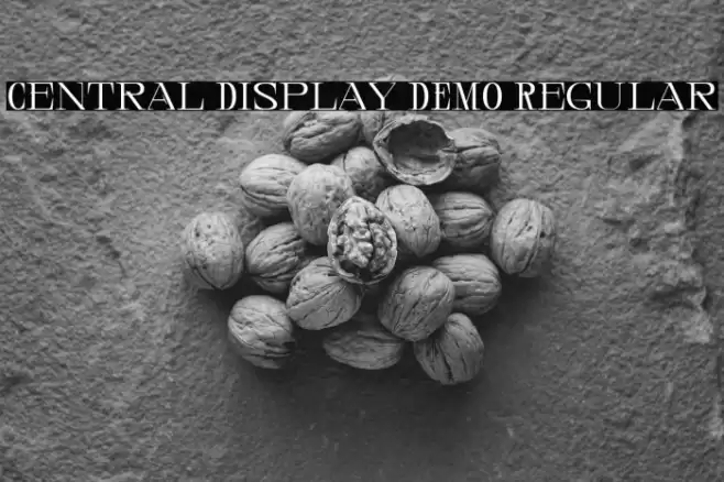 Central Display DEMO Regular Font examples