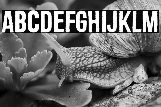 Central European Time 06:02 フォント examples