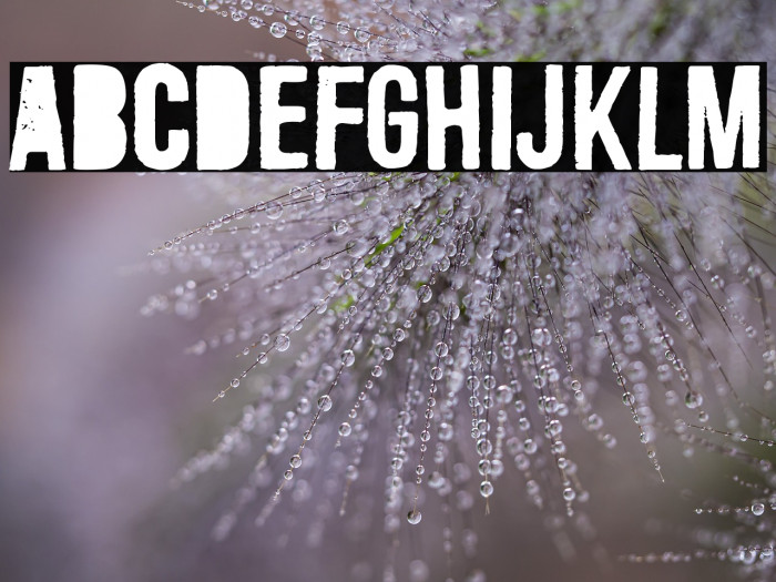 Central European Time 13:37 Example 3