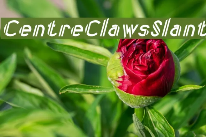 CentreClawsSlant Example 1