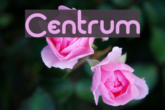 Centrum Font examples
